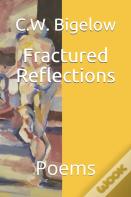 Fractured Reflections