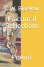 Fractured Reflections - Preview