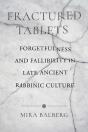 Fractured Tablets - Preview