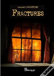 Capa do artigo Fractures