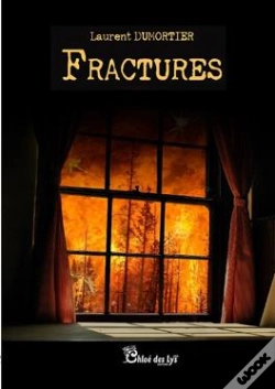 Capa do artigo Fractures