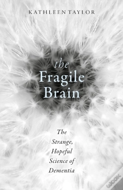 Capa do artigo Fragile Brain