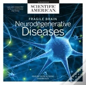 Capa do artigo Fragile Brain