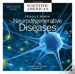 Capa do artigo Fragile Brain