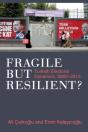 Fragile But Resilient? - Preview