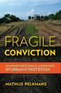 Fragile Conviction - Preview