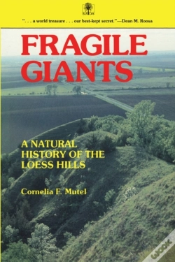 Capa do artigo Fragile Giants