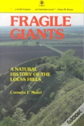 Fragile Giants