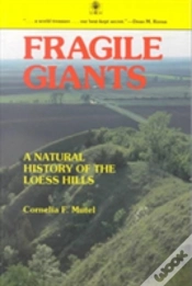 Capa do artigo Fragile Giants