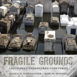 Capa do artigo Fragile Grounds