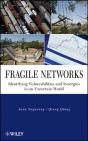 Fragile Networks - Preview