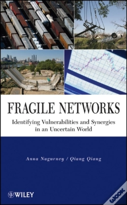 Capa do artigo Fragile Networks
