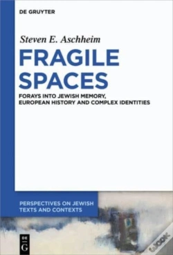 Capa do artigo Fragile Spaces