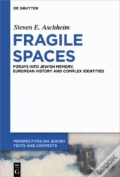 Capa do artigo Fragile Spaces