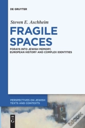 Capa do artigo Fragile Spaces