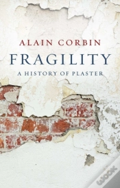 Capa do artigo Fragility