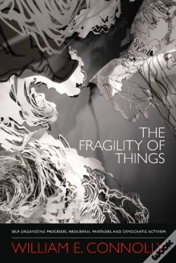 Capa do artigo Fragility Of Things