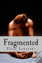 Capa do artigo Fragmented