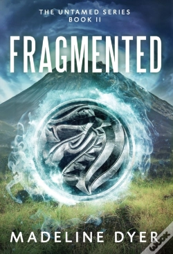 Capa do artigo Fragmented