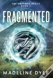 Capa do artigo Fragmented