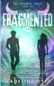Capa do artigo Fragmented
