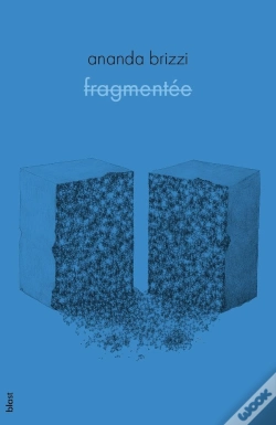Capa do artigo Fragmentée