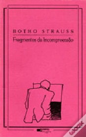 Capa do artigo Fragmentos da Incompreensão