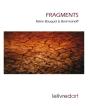 Fragments - Preview
