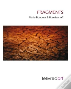 Capa do artigo Fragments