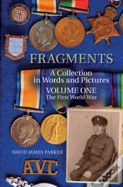 Capa do artigo Fragments