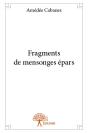 Fragments De Mensonges Epars - Preview