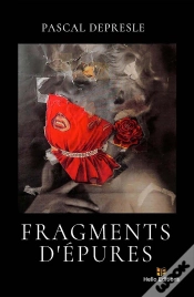 Capa do artigo Fragments D