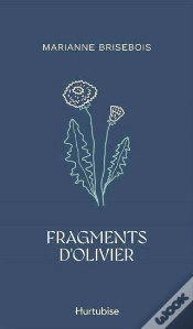 Capa do artigo Fragments D