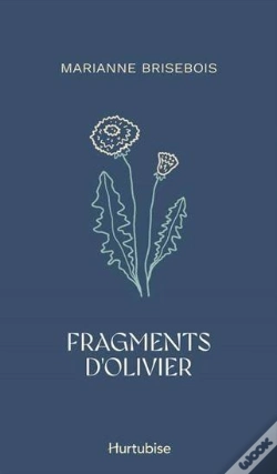 Capa do artigo Fragments D'Olivier