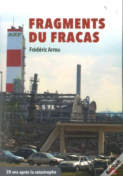 Capa do artigo Fragments Du Fracas : 20 Ans Après La Catastrophe