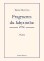 Fragments Du Labyrinthe - Preview
