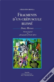 Capa do artigo Fragments D
