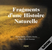 Capa do artigo Fragments D