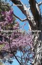Fragments Épars Du Temps - Preview