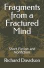 Fragments From A Fractured Mind - Preview
