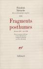 Fragments Posthumes (Automne 1887 Mars 1888) (Broche) - Preview