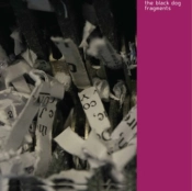 Capa do artigo Fragments (Remastered) - CD
