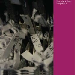 Capa do artigo Fragments (Remastered) - Vinil