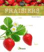 Fraisiers - Preview