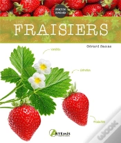 Capa do artigo Fraisiers