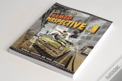 Capa do artigo Framed Perspective Vol. 1