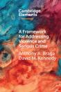Framework For Addressing Violence And Serious Crime - Preview
