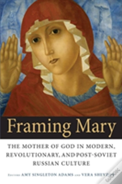Capa do artigo Framing Mary