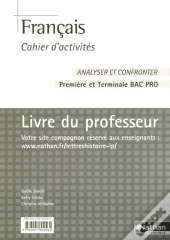 Français ; Cahier D'Activités ; Bac Pro 1ère Et Terminale ; Livre Du Professeur (Édition 2007)