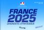France 2025 ; Rapport Diagnostic Stratégique ; État Des Lieux 2008 - Preview